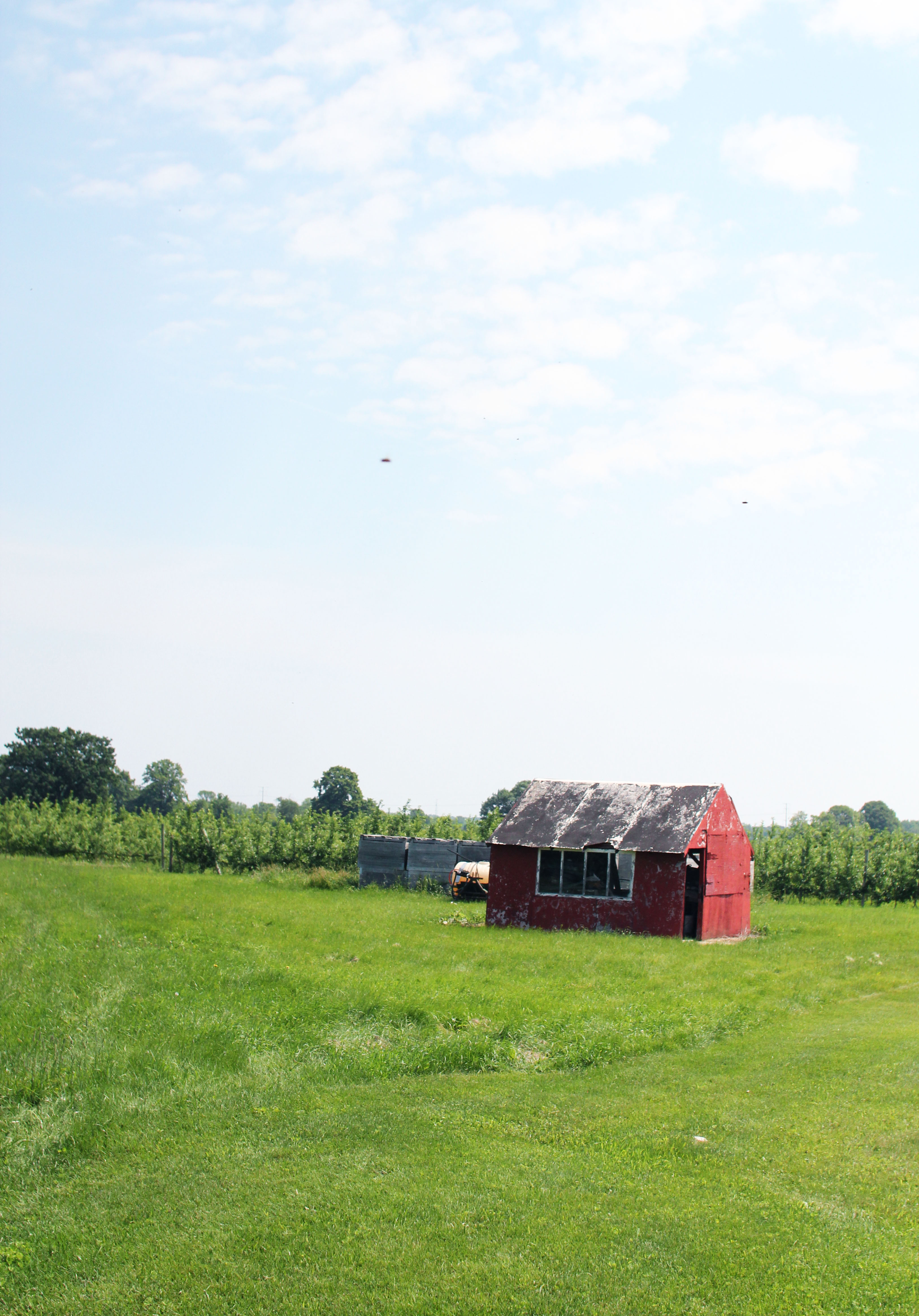 Little Barn House.